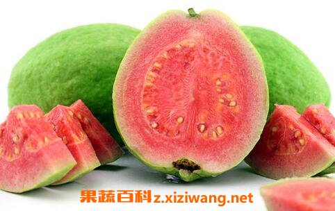 台湾红心芭乐图片