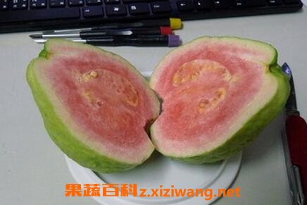 水果芭乐的好处