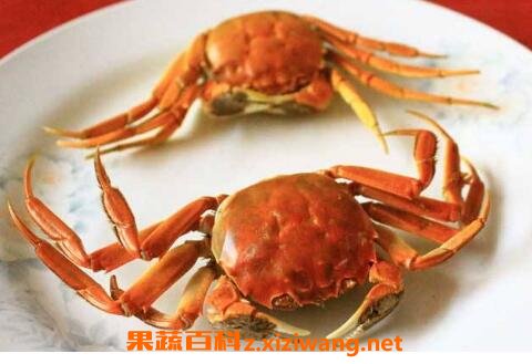 螃蟹不能和什么一起吃