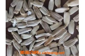 菜葫芦籽的功效与作用