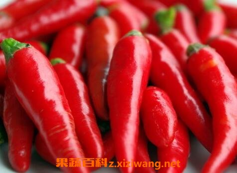 整小红尖椒的腌制方法