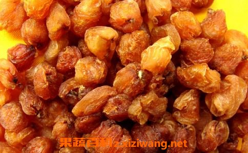 中药龙眼肉