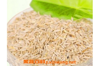 白生菜籽的功效与作用
