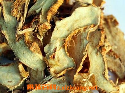 知母功效与作用及禁忌