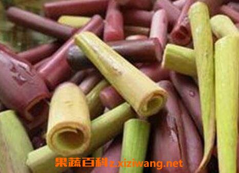 芋头杆的功效与作用及禁忌