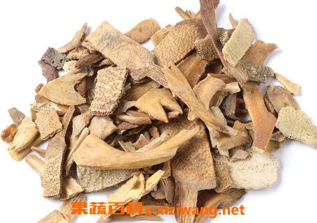 中药鳖壳的功效与作用