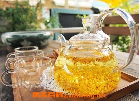 自作桂花茶怎么做