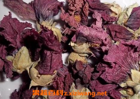 紫罗兰花茶的功效与作用