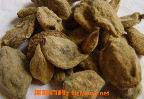 中药瘪桃干的功效与作用