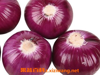 紫洋葱和黄洋葱的区别