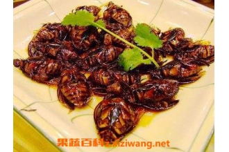 蟑螂干的药用价值有哪些