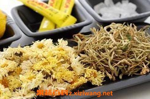菊花加金银花的功效与作用