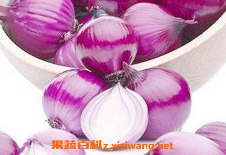 紫元葱的作用及功效