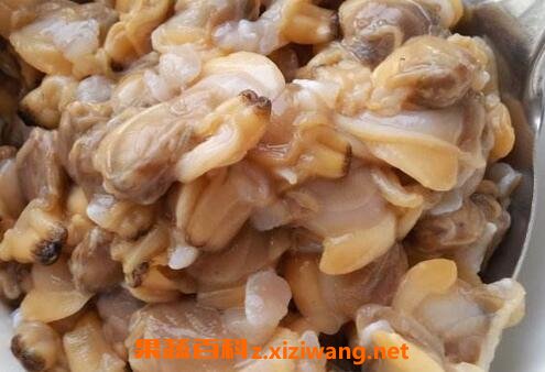 蚬子肉的营养价值 蚬子肉的功效与作用