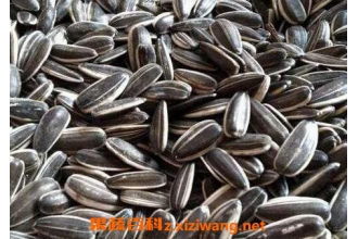 葵花籽壳的作用 葵花籽壳的营养价值