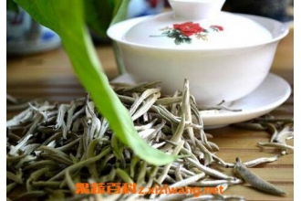 白毛尖茶的营养价值 白毛尖茶的功效