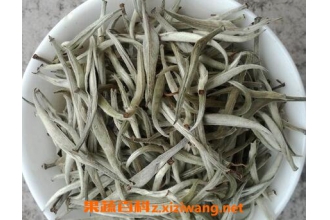 白毛尖的泡法技巧 白毛尖的具体冲泡步骤