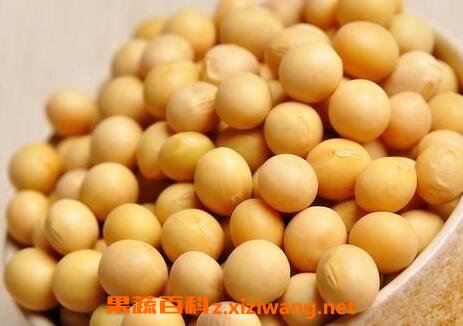 黄豆壳的营养价值