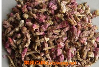 灸款冬花的功效与作用