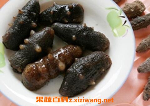 澳洲海参的营养价值