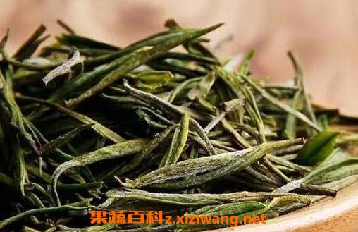 怎样鉴定君山银针茶的真假