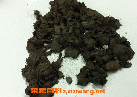 磁石的功效与作用 磁石药用价值