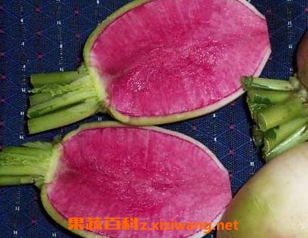紫心萝卜的功效与作用