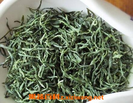 信阳毛尖属于什么茶