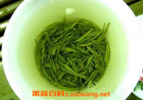 信阳毛尖怎么泡好喝