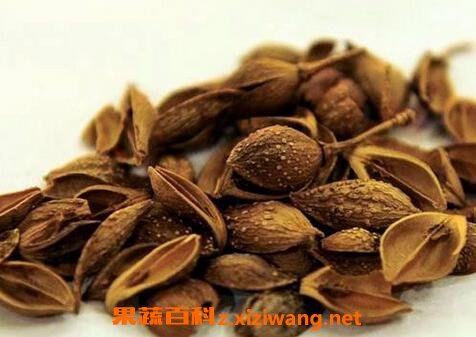 连翘的功效及作用
