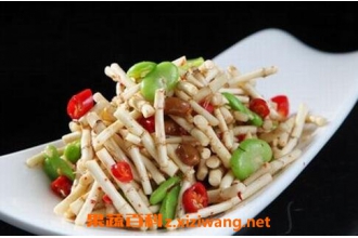 鱼腥草根的功效与作用及食用方法