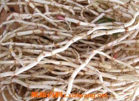 折耳根的功效与作用及食用方法