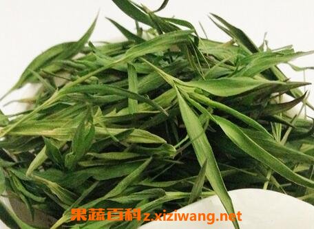 竹子叶泡水喝的功效