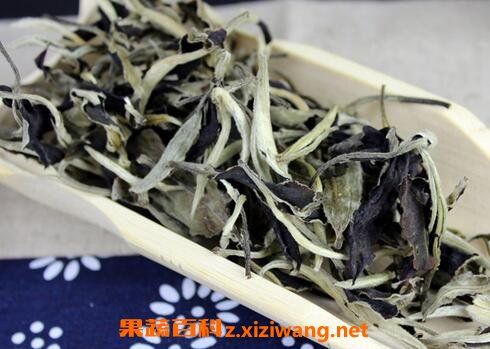 白毫银针与月光白区别