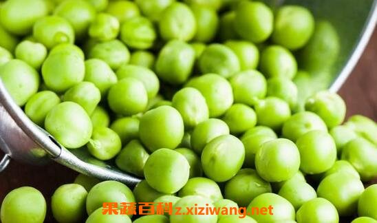 碗豆有什么营养价值