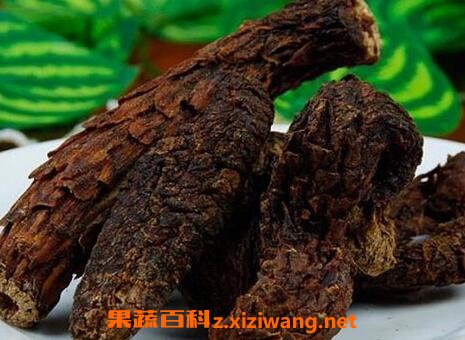 肉苁蓉的功效与作用