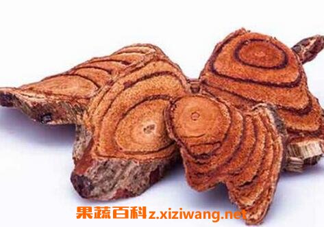 鸡血藤的功效与作用及食用方法