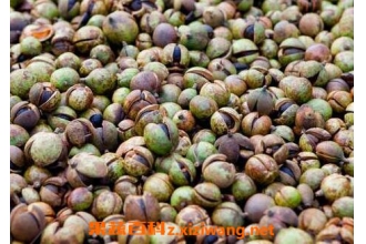 茶籽壳的功效与作用 茶籽壳的用途
