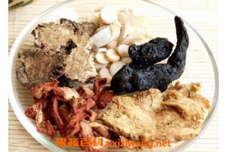 四物汤的功效与作用及常见配方