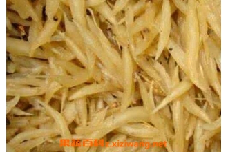 天冬的功效与作用 天冬的禁忌及食用方法