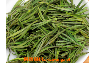 福鼎白茶与安吉白茶的区别