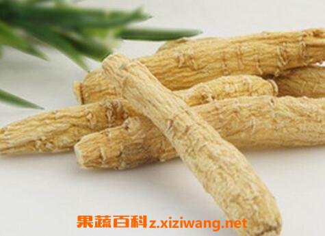 洋参不能与什么一起吃