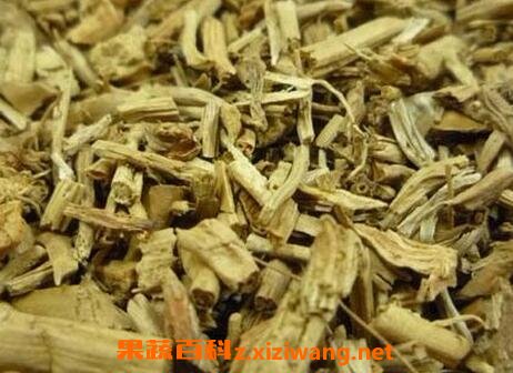 野薏米根的功效与作用
