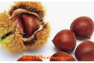 板栗壳的功效与作用 板栗壳的药用价值