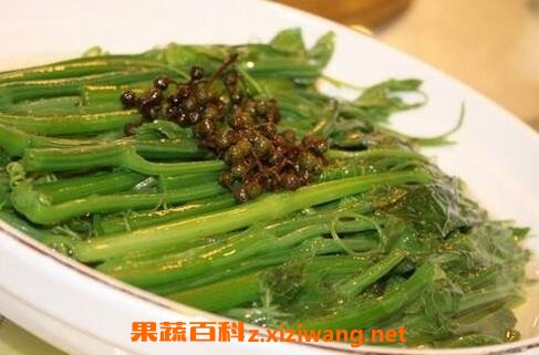 鲜丝瓜苗的功效与作用