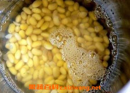 黄豆水的功效与作用 黄豆水的好处