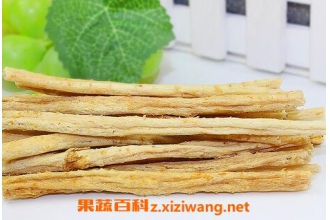 北沙参的功效与作用及食用方法