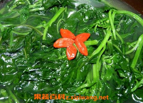 野辣椒叶的功效与作用
