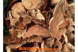 小血藤的功效与作用 小血藤的药用价值