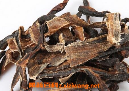 地龙的功效与作用及食用方法